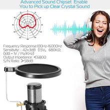 Load image into Gallery viewer, Professional Condenser Studio Recording Microphone
