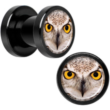 Load image into Gallery viewer, Full Color Owl Black Anodized Screw Fit Plug Set 2G