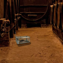 Load image into Gallery viewer, Rat Trap Cage Humane Live Rodent