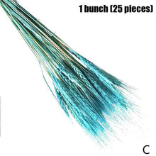 Load image into Gallery viewer, Real Dried Grass Reed Flower Natural Dry Small Bulrush Bouquet Pampas Reeds Home Decoration Wedding Decor Pompass Grass Branches for Vase Artificial Grass Room Décor Wedding Decorations