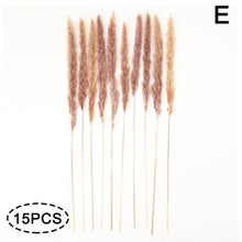 Load image into Gallery viewer, Real Dried Grass Reed Flower Natural Dry Small Bulrush Bouquet Pampas Reeds Home Decoration Wedding Decor Pompass Grass Branches for Vase Artificial Grass Room Décor Wedding Decorations