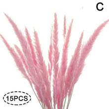 Load image into Gallery viewer, Real Dried Grass Reed Flower Natural Dry Small Bulrush Bouquet Pampas Reeds Home Decoration Wedding Decor Pompass Grass Branches for Vase Artificial Grass Room Décor Wedding Decorations