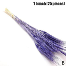 Load image into Gallery viewer, Real Dried Grass Reed Flower Natural Dry Small Bulrush Bouquet Pampas Reeds Home Decoration Wedding Decor Pompass Grass Branches for Vase Artificial Grass Room Décor Wedding Decorations