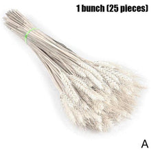 Load image into Gallery viewer, Real Dried Grass Reed Flower Natural Dry Small Bulrush Bouquet Pampas Reeds Home Decoration Wedding Decor Pompass Grass Branches for Vase Artificial Grass Room Décor Wedding Decorations