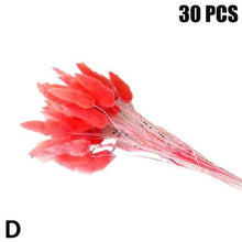 Load image into Gallery viewer, Real Dried Grass Reed Flower Natural Dry Small Bulrush Bouquet Pampas Reeds Home Decoration Wedding Decor Pompass Grass Branches for Vase Artificial Grass Room Décor Wedding Decorations