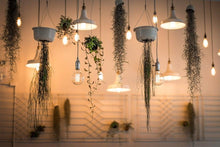 Load image into Gallery viewer, Retro Edison Light Bulb Vintage Edison Lamp Vintage Incandescent Edison Light Bulbs Edison Filament Light Bulb Dimmable Warm White Different Shape Light