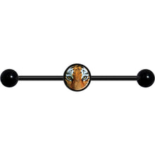 Load image into Gallery viewer, 14G Full Color Tiger Eyes Black Industrial Barbell 37mm