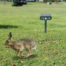 将图片加载到图库查看器,Solar Powered Ultrasonic Animal Repeller