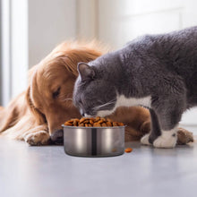 Load image into Gallery viewer, Stainless Steel Dog Pet Bowl