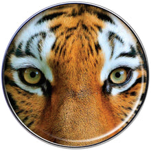 Load image into Gallery viewer, 16G 1/4 Full Color Tiger Eyes Tragus Cartilage Earring