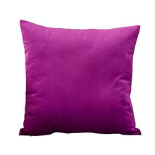 将图片加载到图库查看器,Super Soft Cushion Cover Velvet Pillow Cover Living Room Velvet Decorative Throw Pillow Covers Soft Solid Square Cushion Case For Couch Home Decorative Pillows