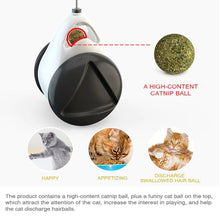将图片加载到图库查看器,Swing Toys for Cats Kitten Interactive Balance Car Cat Chasing Toy With Catnip Funny Pet Products Indoor Cats Chaser Toys with Feather Catnip Ball Balanced Exercise Wheel Toy for Cats Chasing Hunting Playing