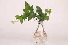 Load image into Gallery viewer, Transparent Glass Bulb Lamp Shape Flower Water Plant Hanging Vase Hydroponic Container Pot For Home Wedding Decoration for Wedding Living Room, Office Party Gift Vase