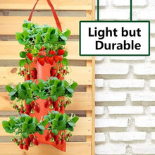 Load image into Gallery viewer, Upside Down Tomato Grow Bag