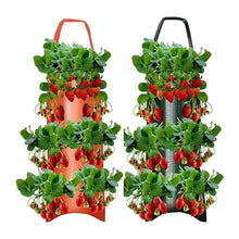 Load image into Gallery viewer, Upside Down Tomato Grow Bag