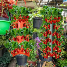 Load image into Gallery viewer, Upside Down Tomato Grow Bag