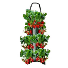 Load image into Gallery viewer, Upside Down Tomato Grow Bag