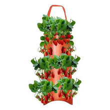 Load image into Gallery viewer, Upside Down Tomato Grow Bag