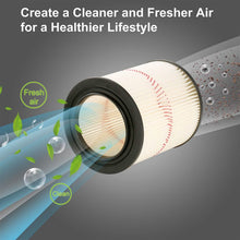 将图片加载到图库查看器,Vacuum Cartridge Filter Replacement