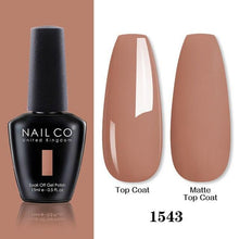 Load image into Gallery viewer, Womens Gel Nail Polish Multi Glossy and Matte Colors Elegant Manicure Design For Womens