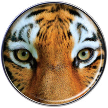 Load image into Gallery viewer, Full Color Tiger Eyes Barbell Tongue Ring