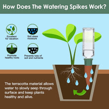 Load image into Gallery viewer, 10-Pack: Spikes Teracotta Plant Watering Device
