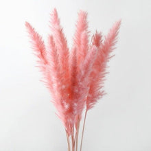 Load image into Gallery viewer, 10PCS Bulrush Natural Dried Flowers Artificial Pampas Grass Decor Phragmites Fake Flower Wedding Home Decoration Floor Vase Filler for Living Room Kitchen Decor
