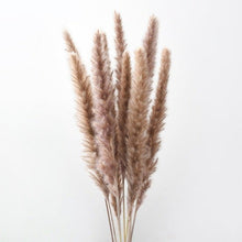 Load image into Gallery viewer, 10PCS Bulrush Natural Dried Flowers Artificial Pampas Grass Decor Phragmites Fake Flower Wedding Home Decoration Floor Vase Filler for Living Room Kitchen Decor

