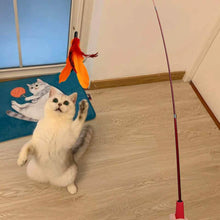 将图片加载到图库查看器，11-Pack: Interactive Cat Toy Wand
