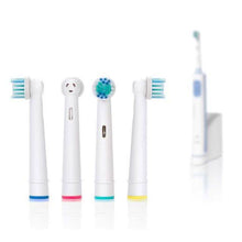 将图片加载到图库查看器，12-Pack: Oral-B Compatible Color Coding Toothbrush Heads
