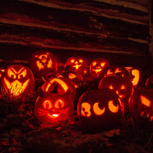 Load image into Gallery viewer, 13-Pieces: Halloween Pumpkin Stainless Steel Carving Kit
