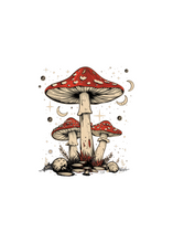 Load image into Gallery viewer, Boho Retro Hippie Mushrooms Natural Unisex Bamboo/Cotton Graphic T-Shirt
