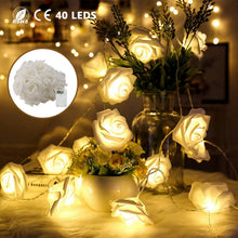 Load image into Gallery viewer, 2-Pack: 40 LEDs Rose Flower String Lights

