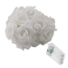 Load image into Gallery viewer, 2-Pack: 40 LEDs Rose Flower String Lights
