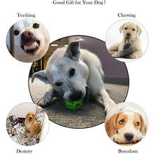 Load image into Gallery viewer, 2-Pack: Dog Teething Toy Balls
