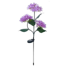 Load image into Gallery viewer, 2-Pack: Hydrangea Solar LED Flower Lights with 3 Heads Outdoor Waterproof Garden Lights
