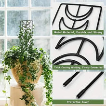 Load image into Gallery viewer, 2-Pack: Metal Plant Trellis for Climbing Plants Indoor
