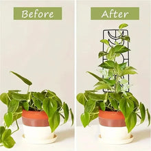 Load image into Gallery viewer, 2-Pack: Metal Plant Trellis for Climbing Plants Indoor
