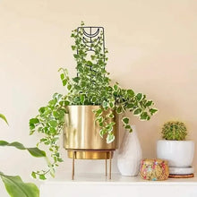 Load image into Gallery viewer, 2-Pack: Metal Plant Trellis for Climbing Plants Indoor
