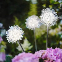 Load image into Gallery viewer, 2-Pack: Outdoor Solar Dandelion Lawn Lights
