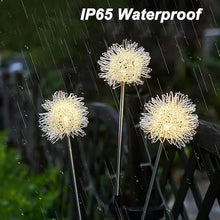 Load image into Gallery viewer, 2-Pack: Outdoor Solar Dandelion Lawn Lights
