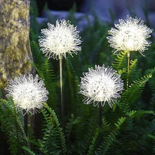 Load image into Gallery viewer, 2-Pack: Outdoor Solar Dandelion Lawn Lights

