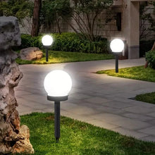 将图片加载到图库查看器，2-Pack: Solar LED Globe Powered Garden Light
