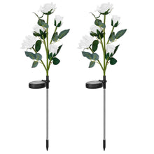 Load image into Gallery viewer, 2-Pack: Solar Powered Rose Flower LED Decorative Lamp
