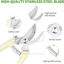 将图片加载到图库查看器，2-Pack: Stainless Steel Bypass Pruning Shears
