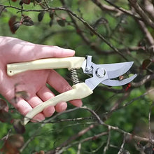 将图片加载到图库查看器，2-Pack: Stainless Steel Bypass Pruning Shears
