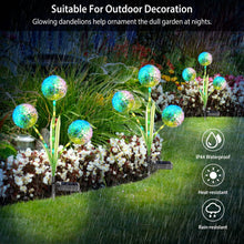 Load image into Gallery viewer, 2-Piece: 36 LED Dandelion Solar Lights
