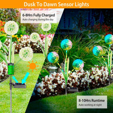 Load image into Gallery viewer, 2-Piece: 36 LED Dandelion Solar Lights
