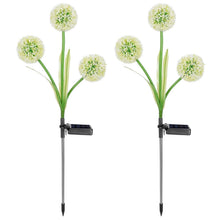 Load image into Gallery viewer, 2-Piece: 36 LED Dandelion Solar Lights
