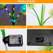 Load image into Gallery viewer, 2-Piece: 36 LED Dandelion Solar Lights
